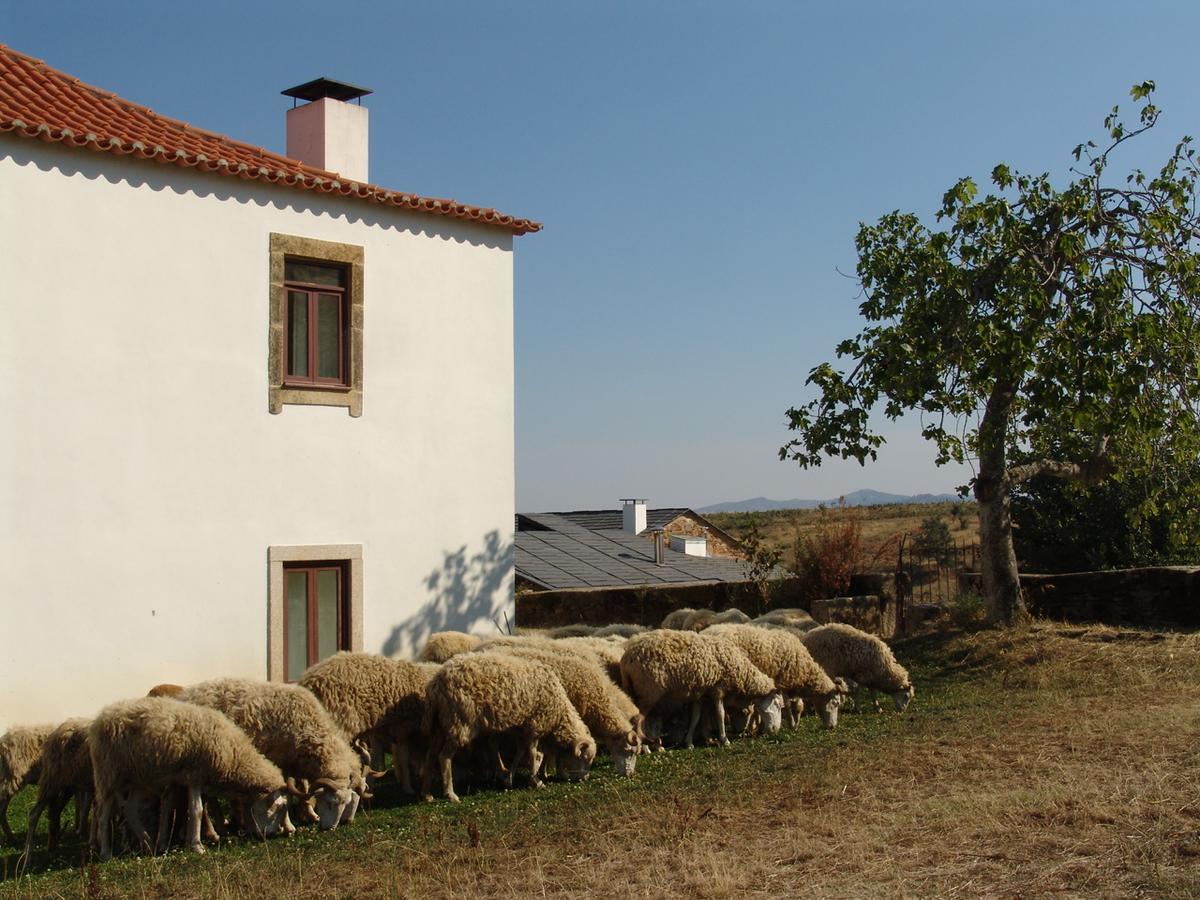 Quinta Da Alagoa Villa Santa Maria de Émeres Exterior photo
